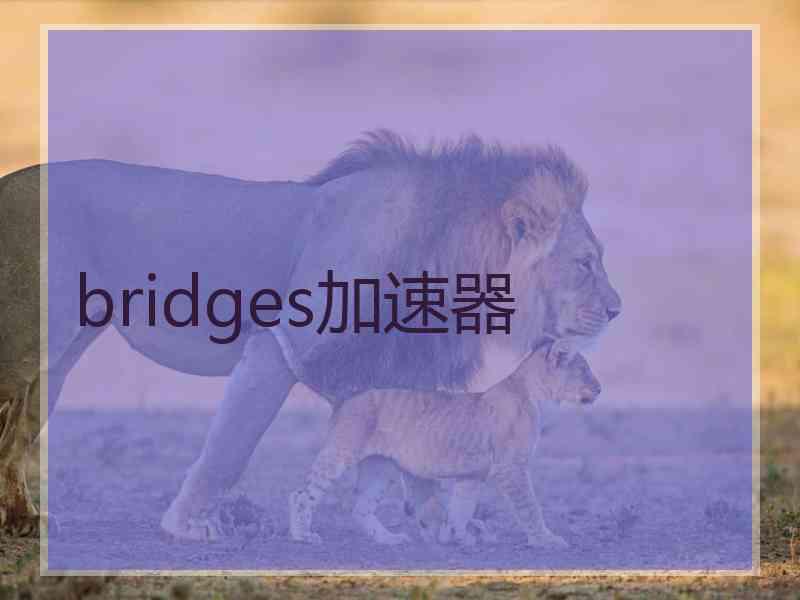 bridges加速器