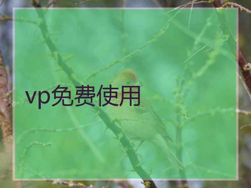 vp免费使用