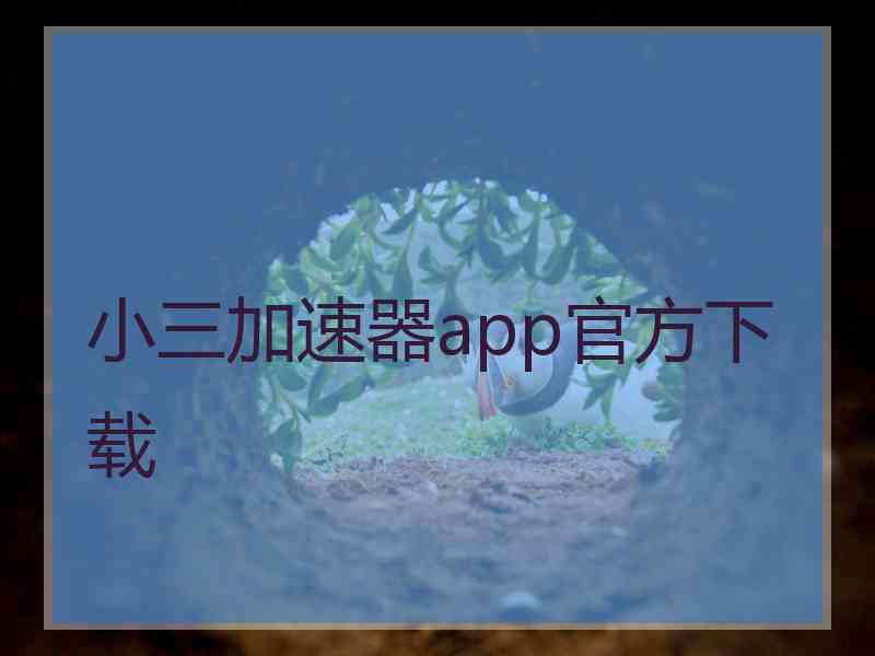 小三加速器app官方下载