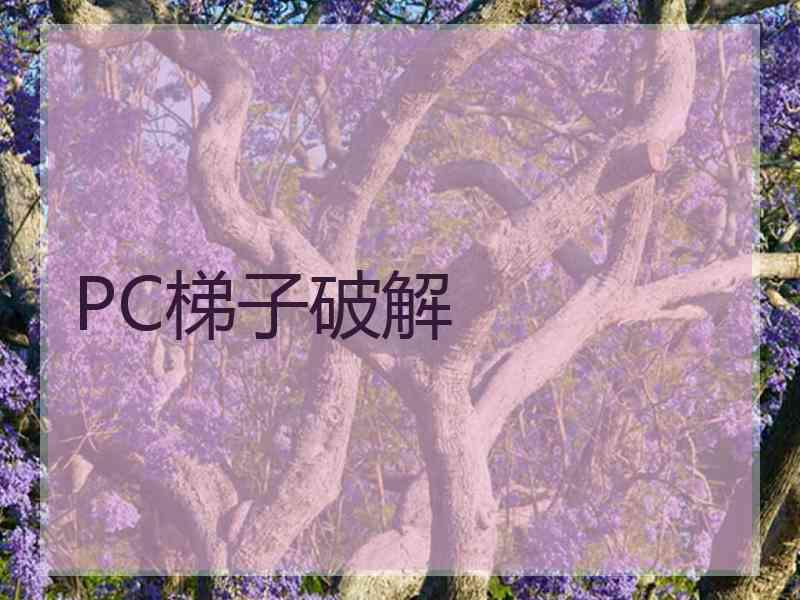 PC梯子破解