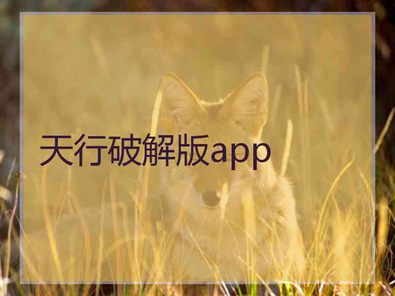 天行破解版app