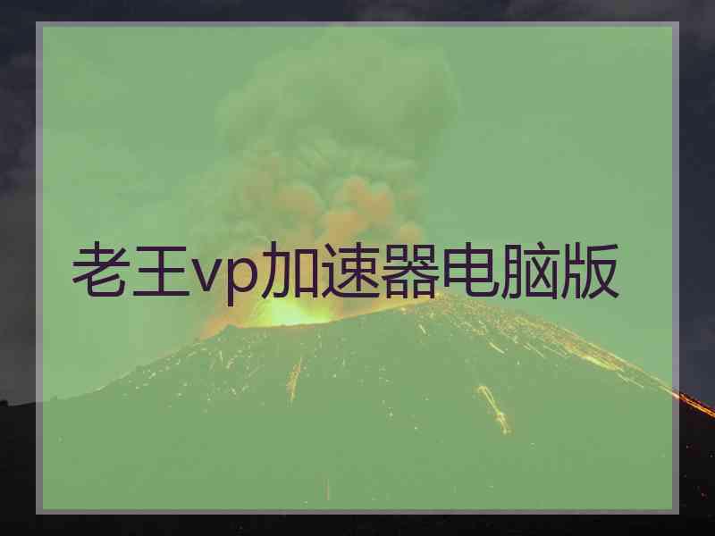 老王vp加速器电脑版