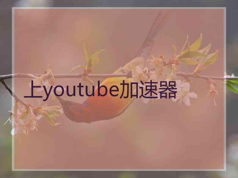 上youtube加速器