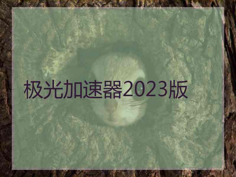 极光加速器2023版