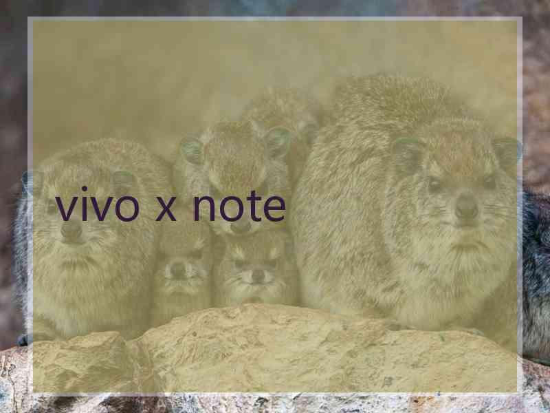 vivo x note