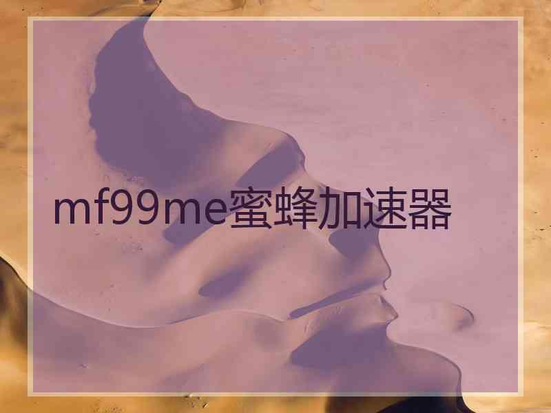 mf99me蜜蜂加速器