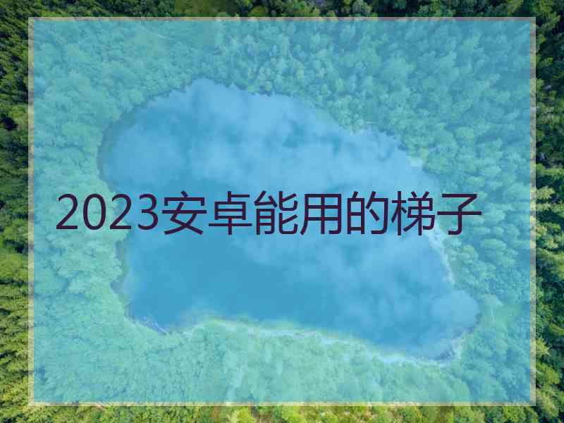 2023安卓能用的梯子