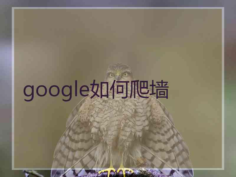 google如何爬墙