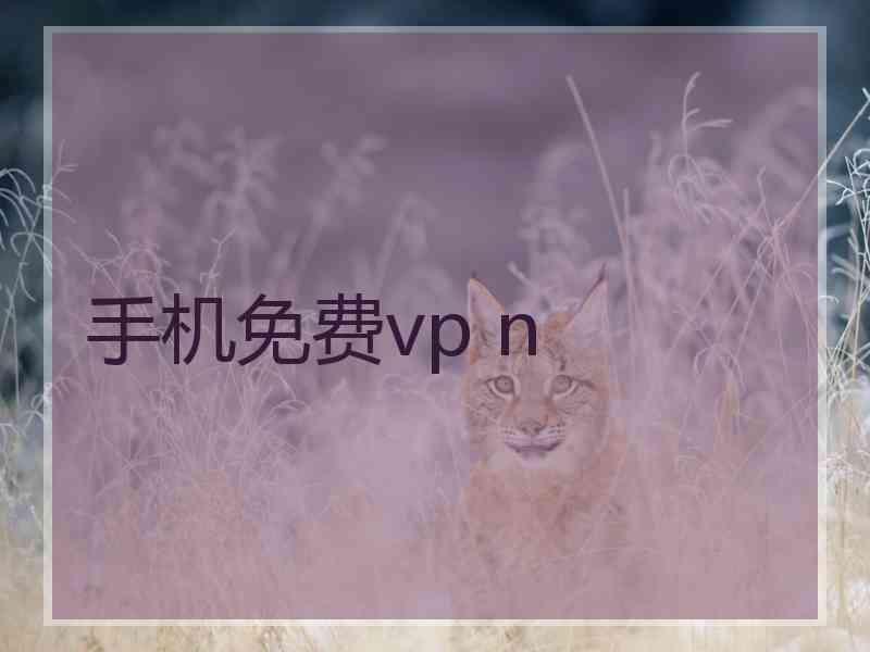 手机免费vp n