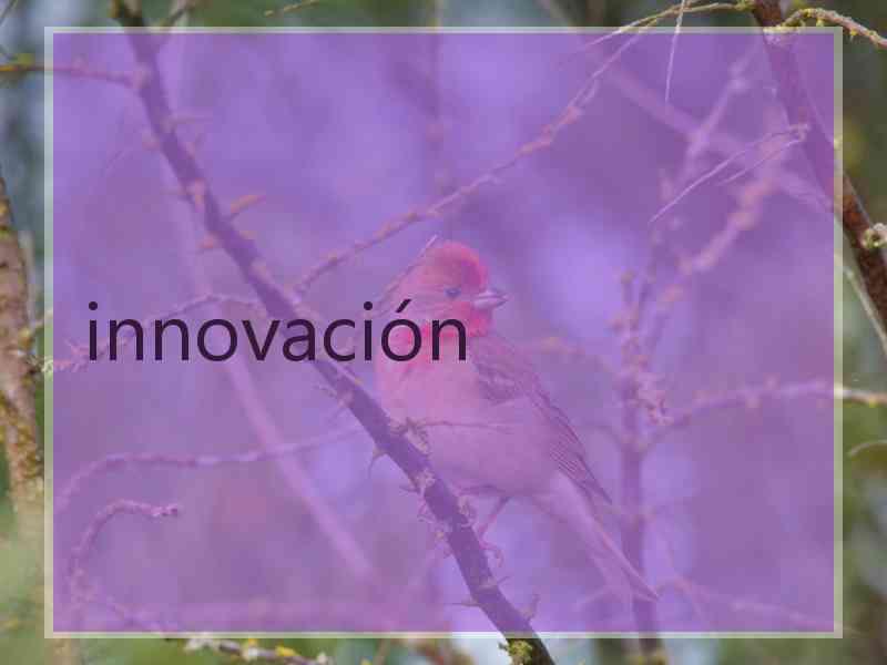 innovación