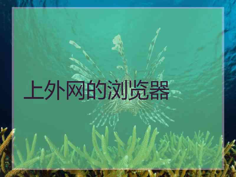 上外网的浏览器