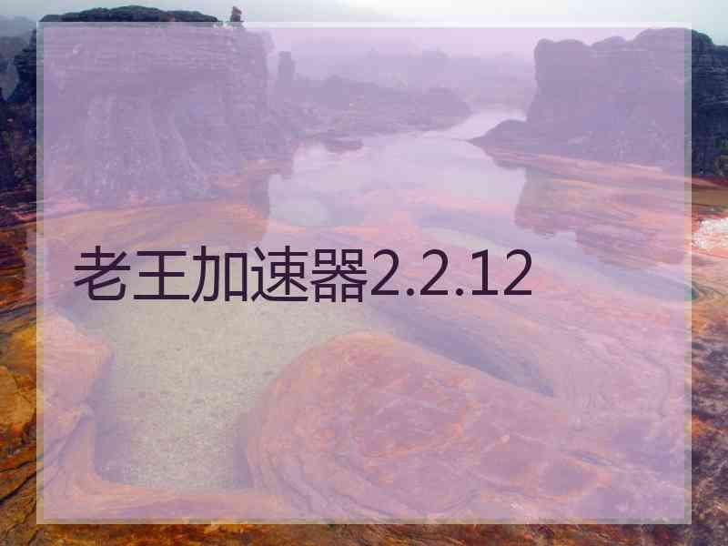 老王加速器2.2.12