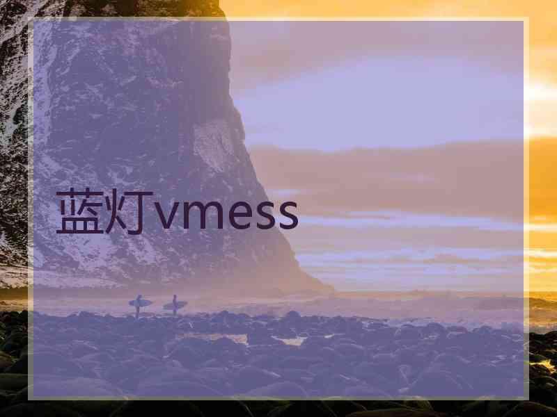 蓝灯vmess