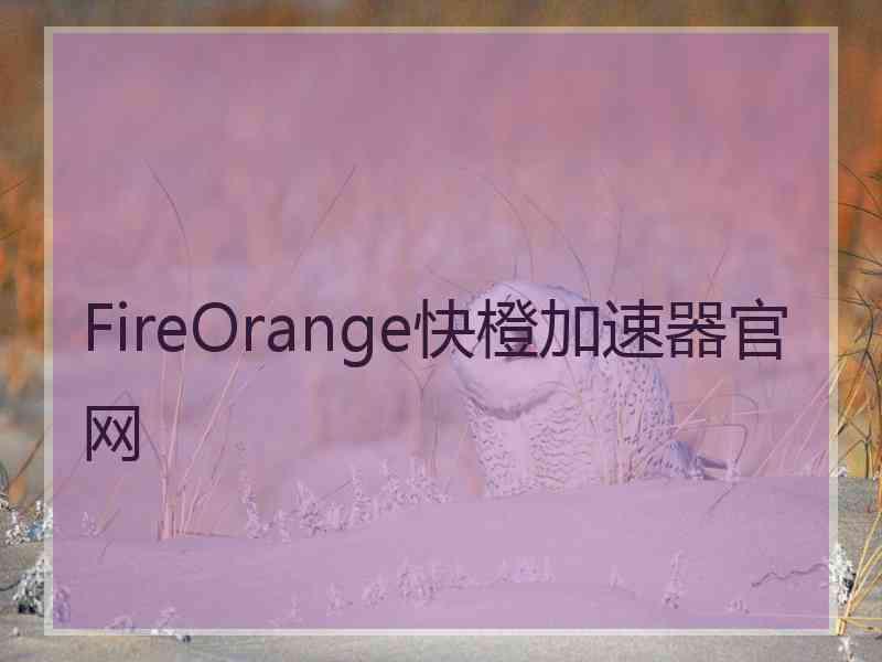 FireOrange快橙加速器官网