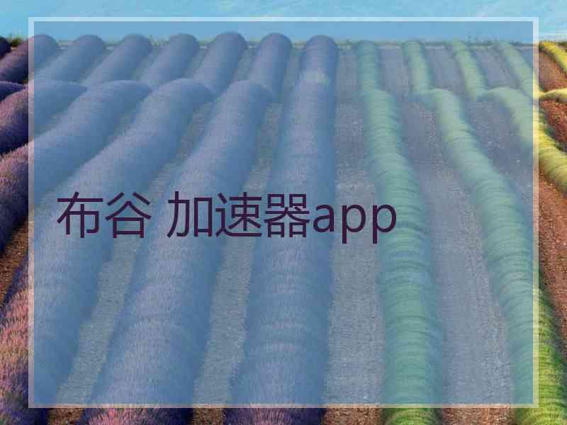 布谷 加速器app