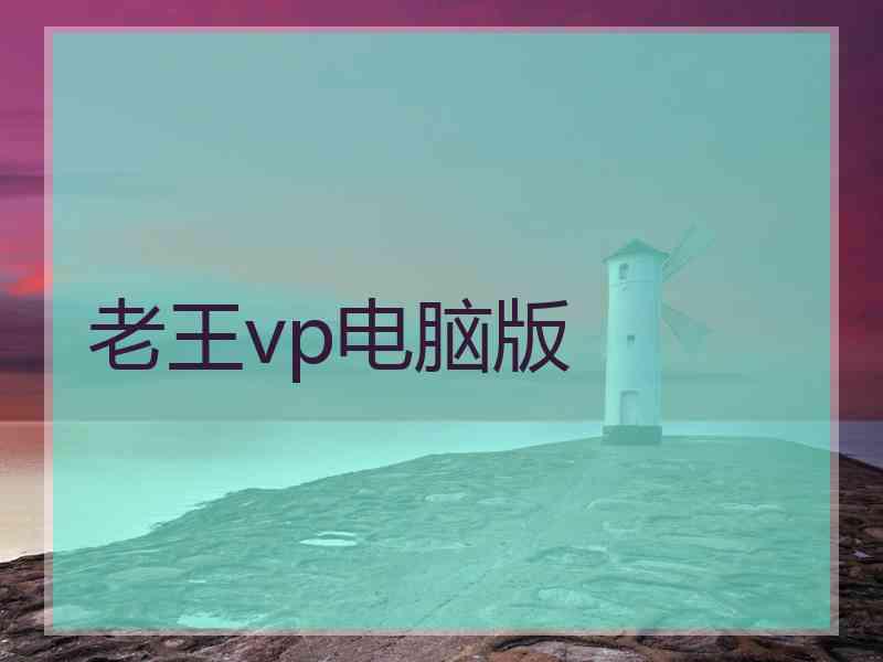 老王vp电脑版