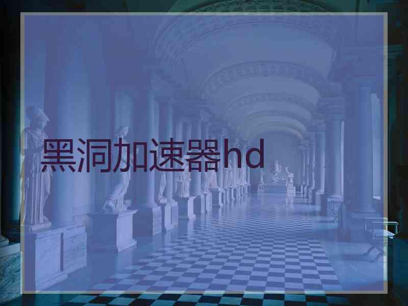 黑洞加速器hd