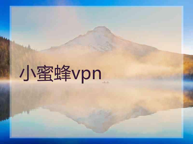 小蜜蜂vpn