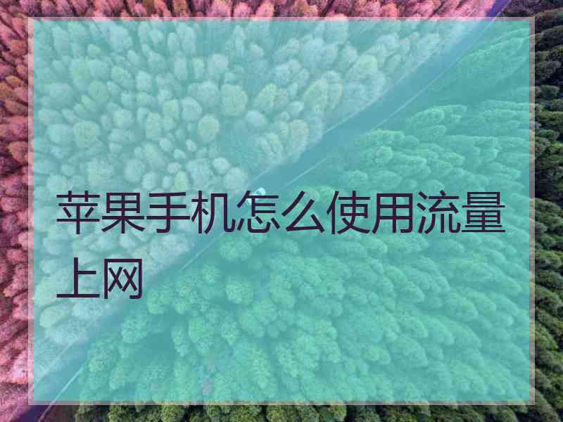 苹果手机怎么使用流量上网