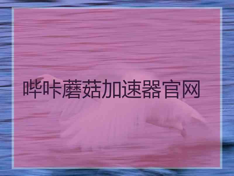 哔咔蘑菇加速器官网