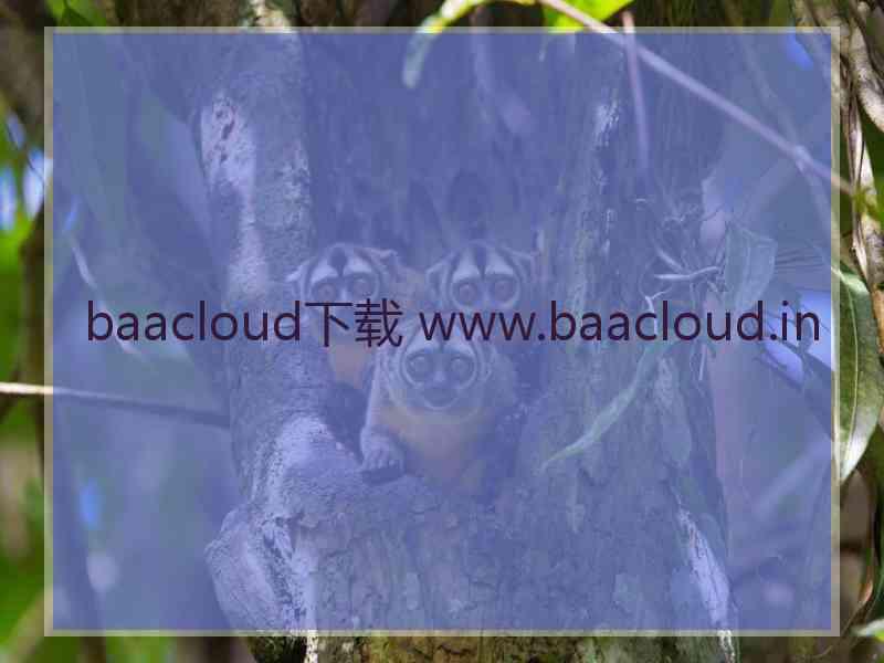 baacloud下载 www.baacloud.in