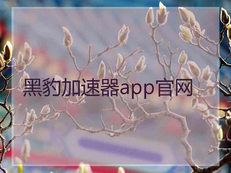 黑豹加速器app官网