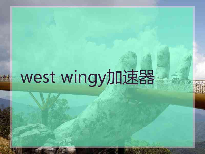 west wingy加速器