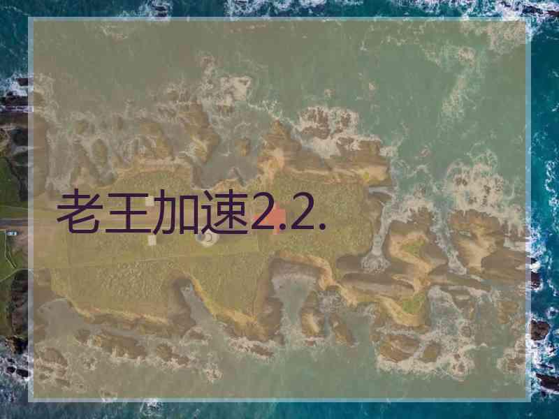 老王加速2.2.