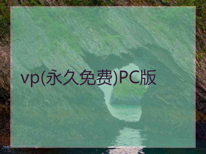 vp(永久免费)PC版