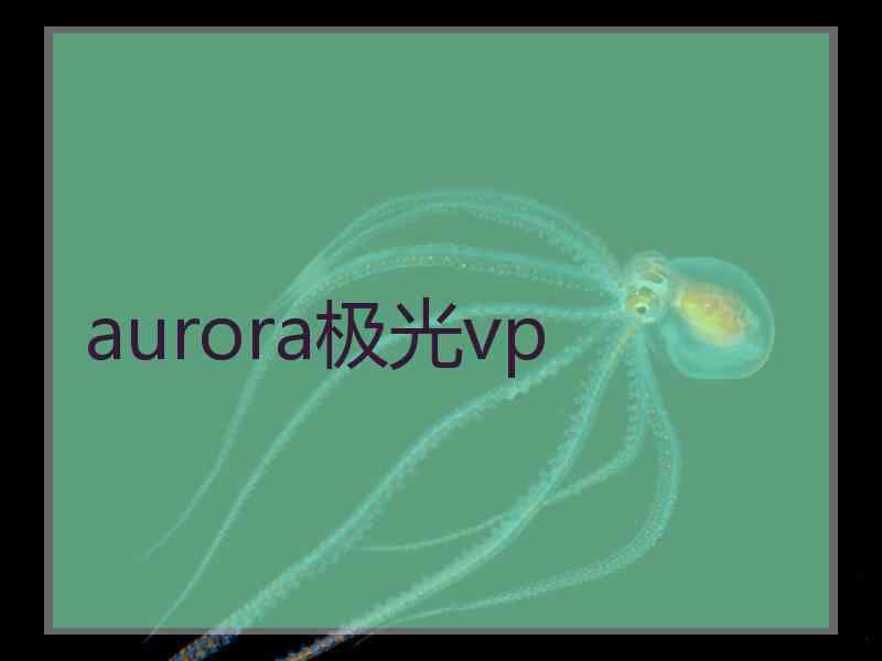 aurora极光vp