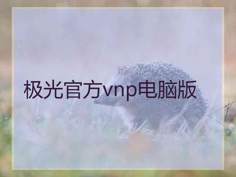 极光官方vnp电脑版