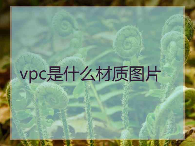 vpc是什么材质图片