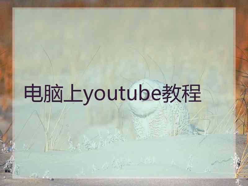 电脑上youtube教程