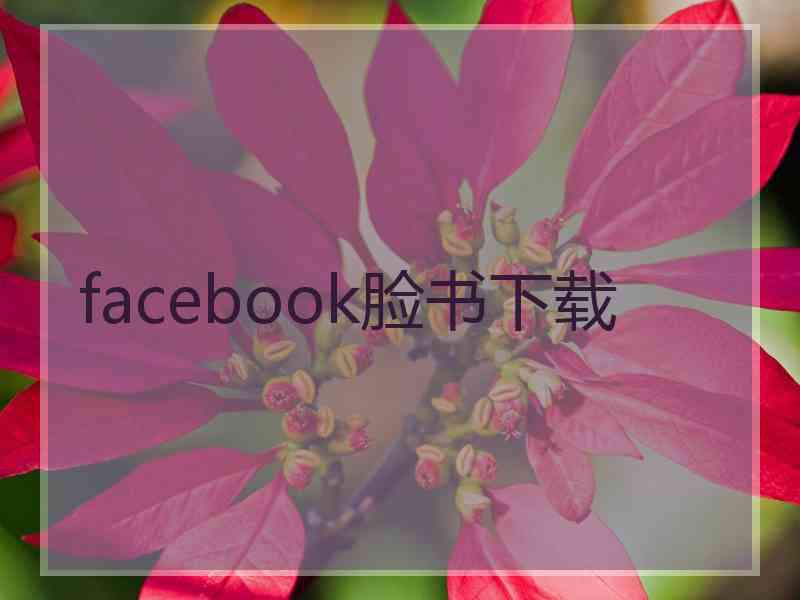 facebook脸书下载