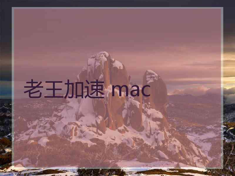 老王加速 mac