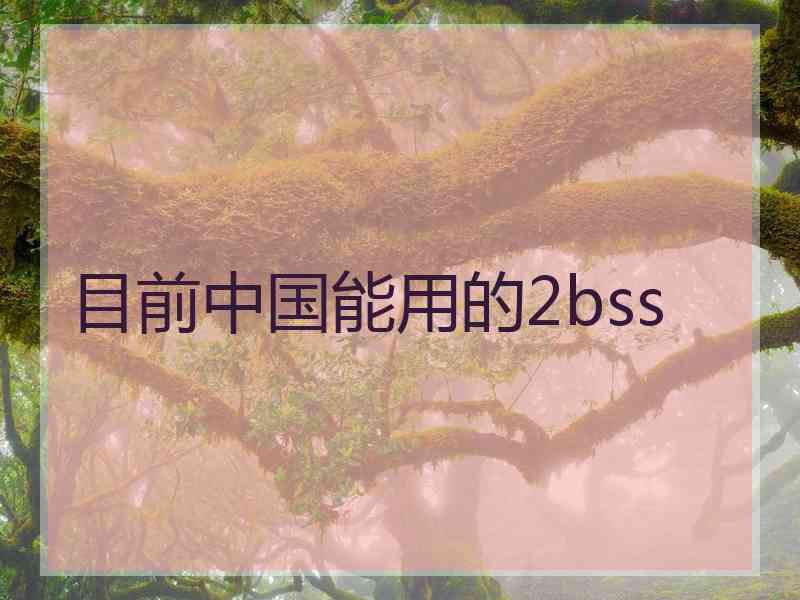 目前中国能用的2bss