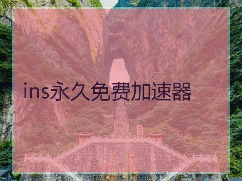 ins永久免费加速器