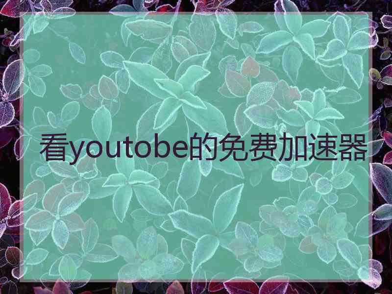 看youtobe的免费加速器