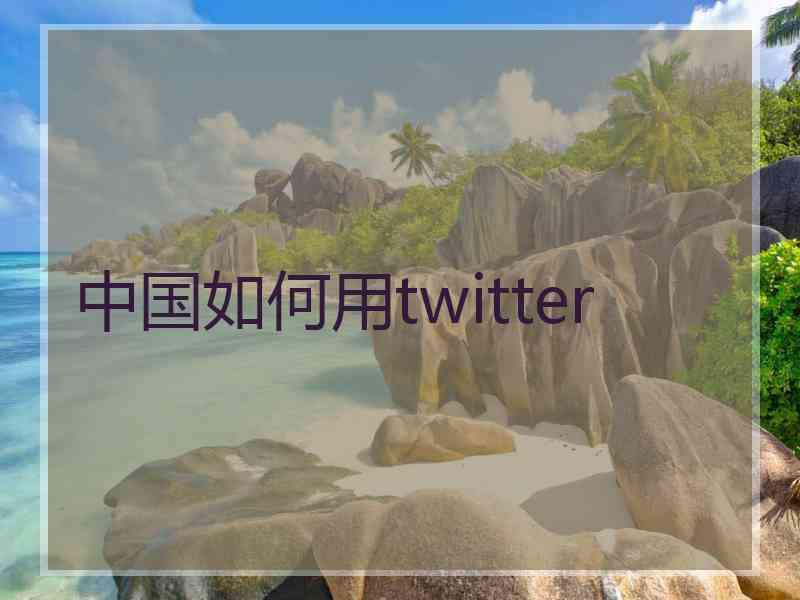 中国如何用twitter