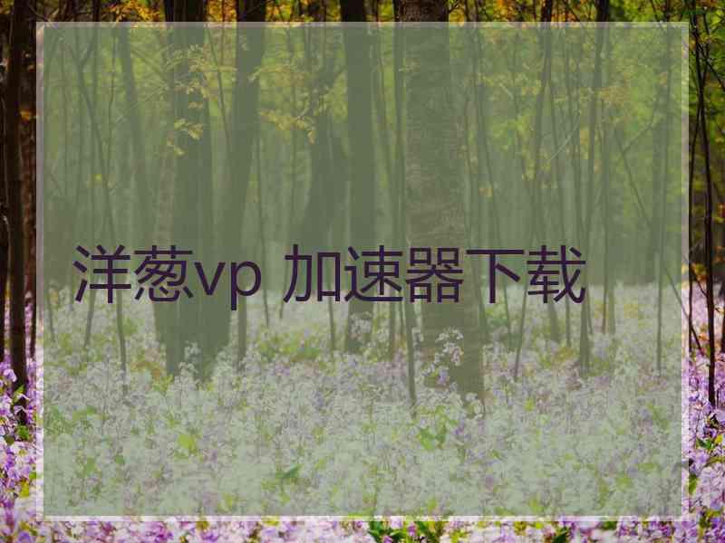 洋葱vp 加速器下载