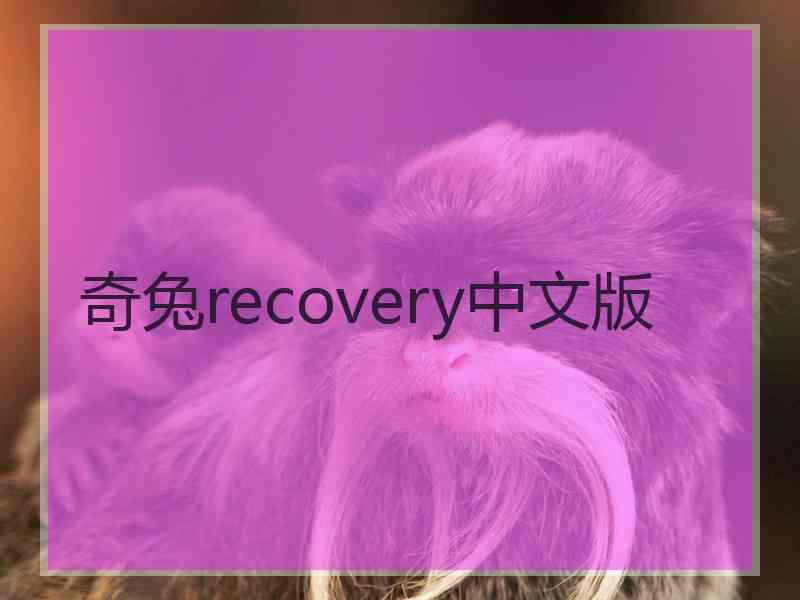 奇兔recovery中文版