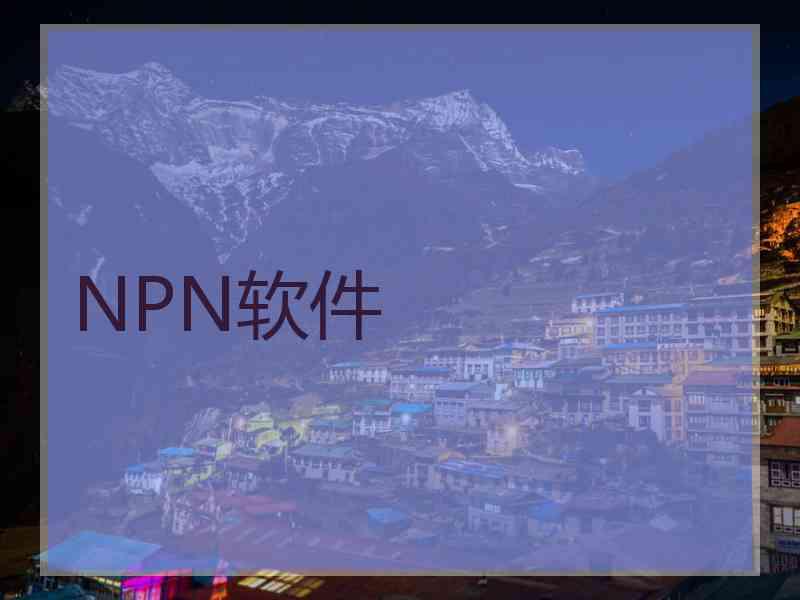 NPN软件