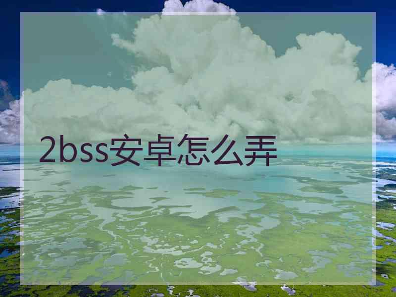 2bss安卓怎么弄