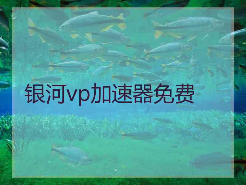 银河vp加速器免费