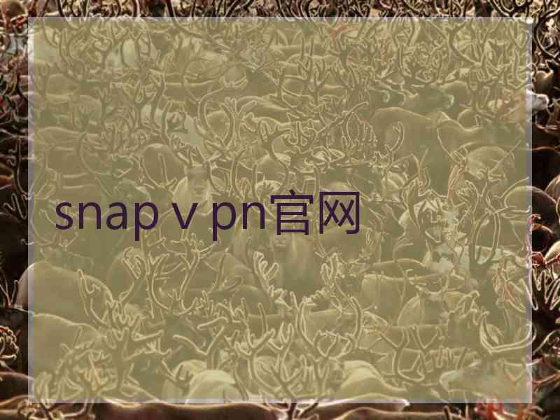 snapⅴpn官网