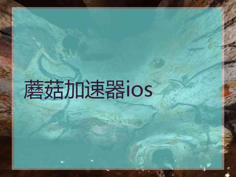 蘑菇加速器ios